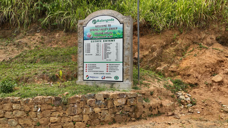 Spring Valley Estate